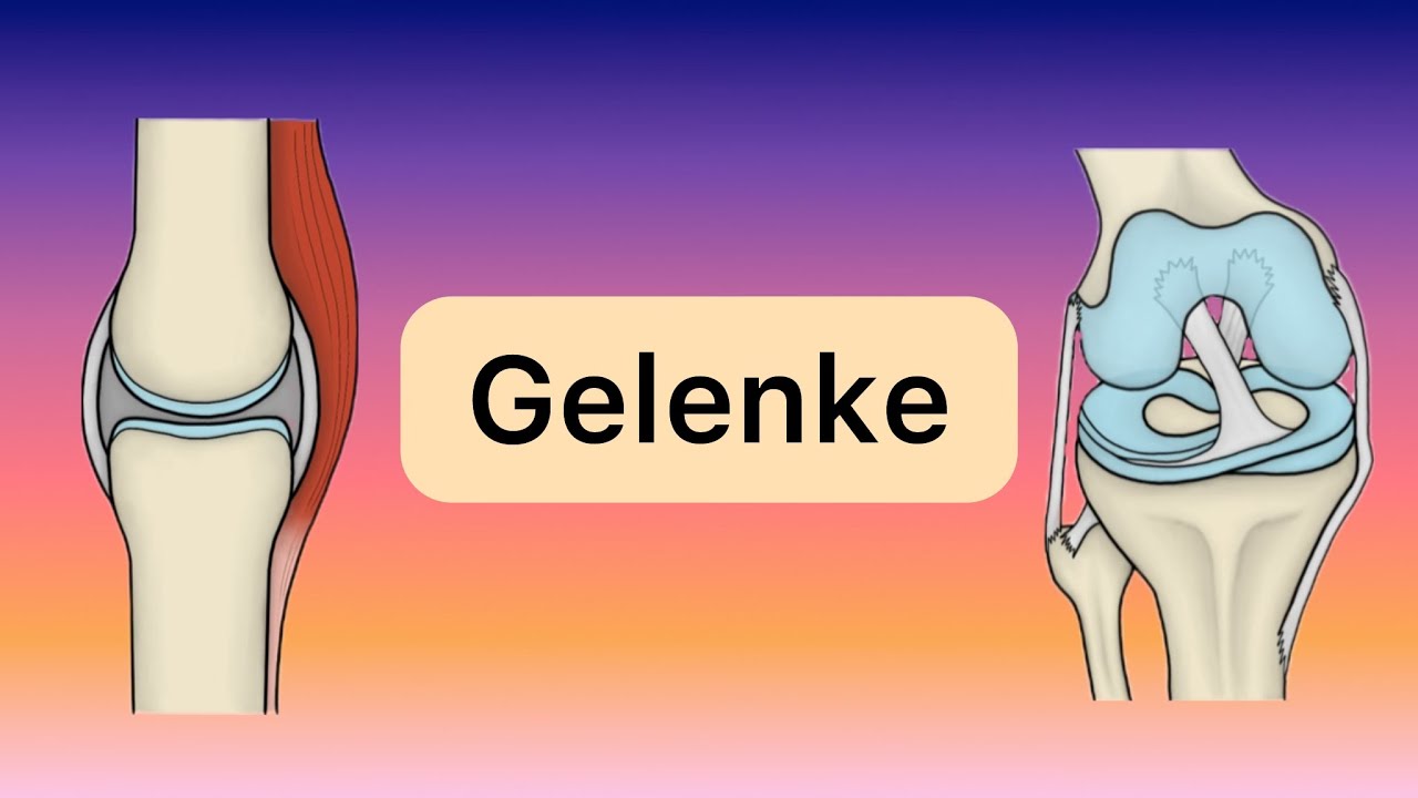 Echte und unechte Gelenke