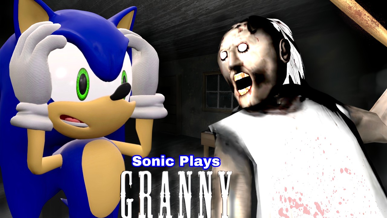 Sonic gra w: GRANNY !!!