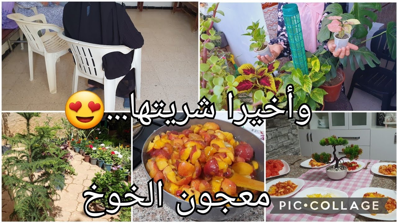 وأخيراشريتها😍مزال الخطر 🚨مشتريات الحب والغرام🙈معجون الخوخ للعولة تحلفي عليه مشري