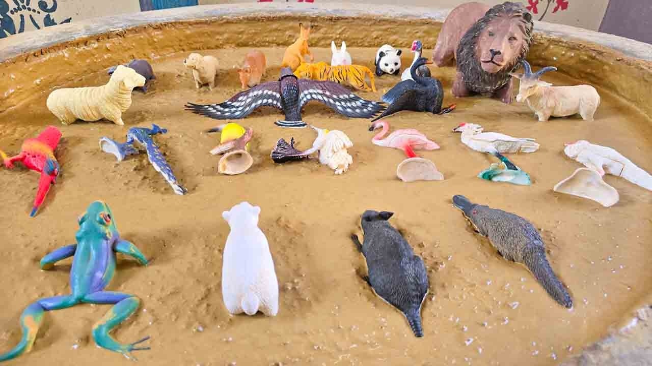 A Magical Journey to Discover the Bond of Mountain Animals and Birds