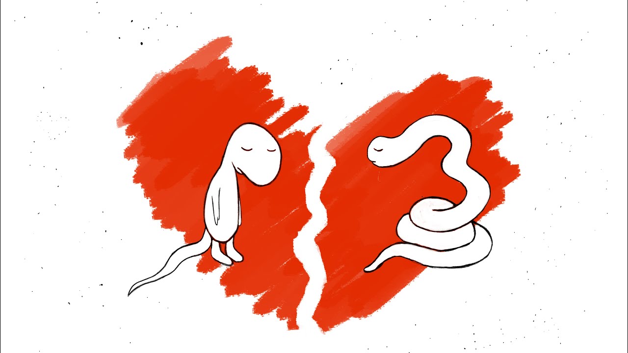 Lazy Lizzard Gang - Die Schlange und die Echse