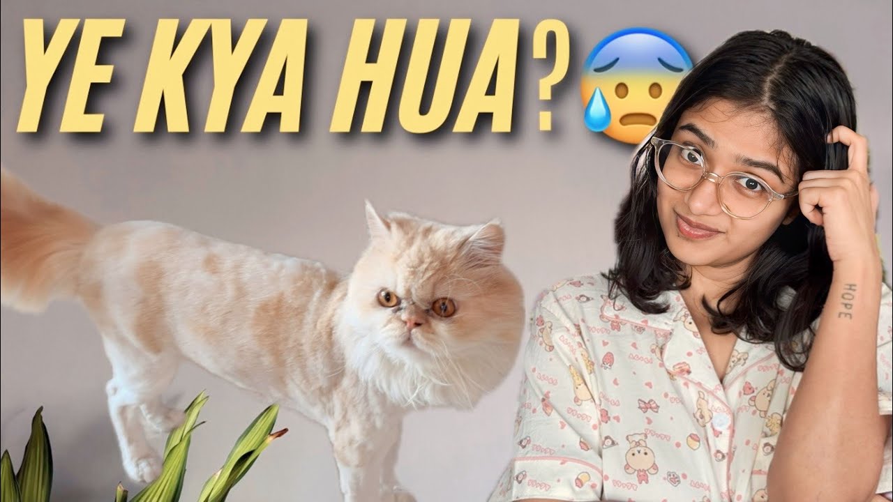 Made a big mistake🥲 | Dhwani Bhanot Vlogs 