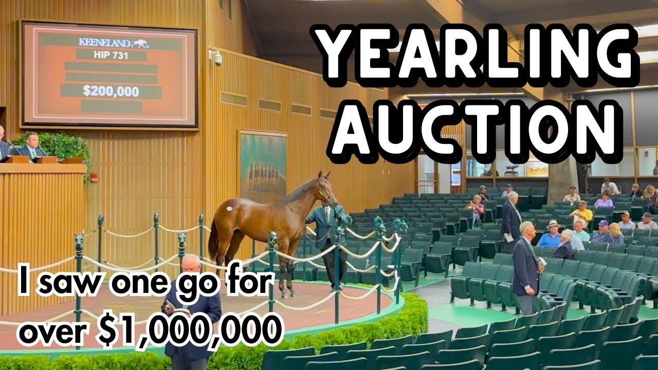 Spontaneous trip to a BIG thoroughbred auction (Kentucky Vlog)