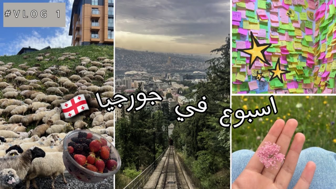 Vlog #1 | رحلتي إلى جورجيا 🇬🇪 | فلوق اسبوع كامل