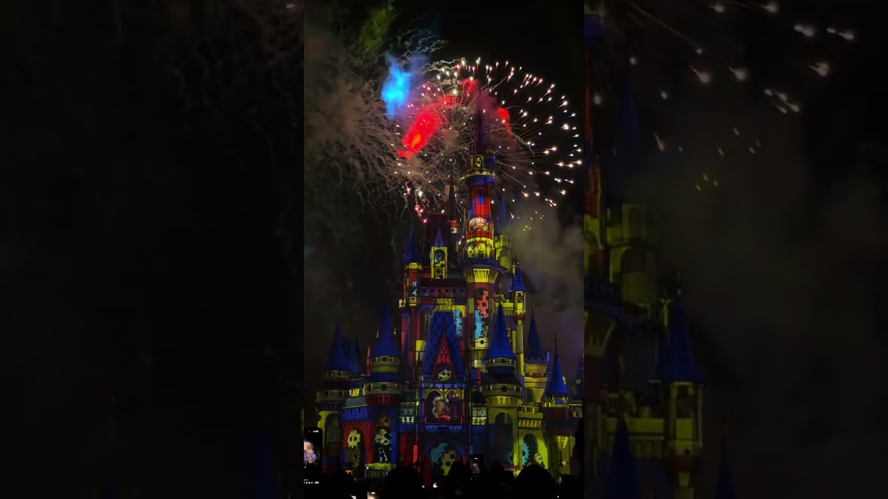 DisneyWorld - Magic Kingdom - Fireworks