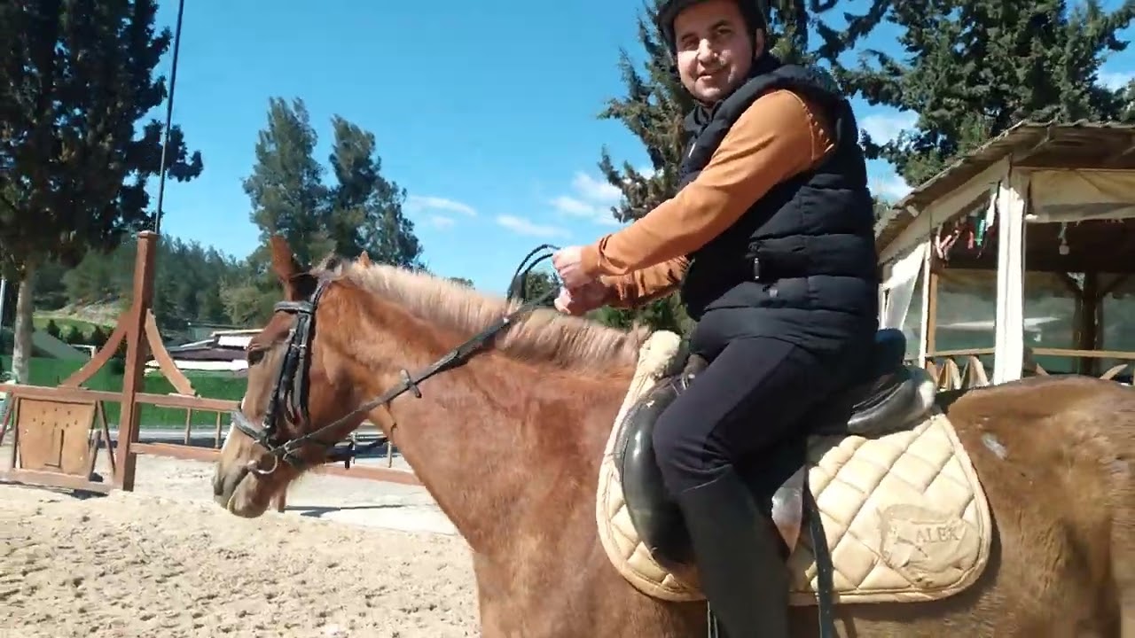 Süvari açık manejde at binme 51