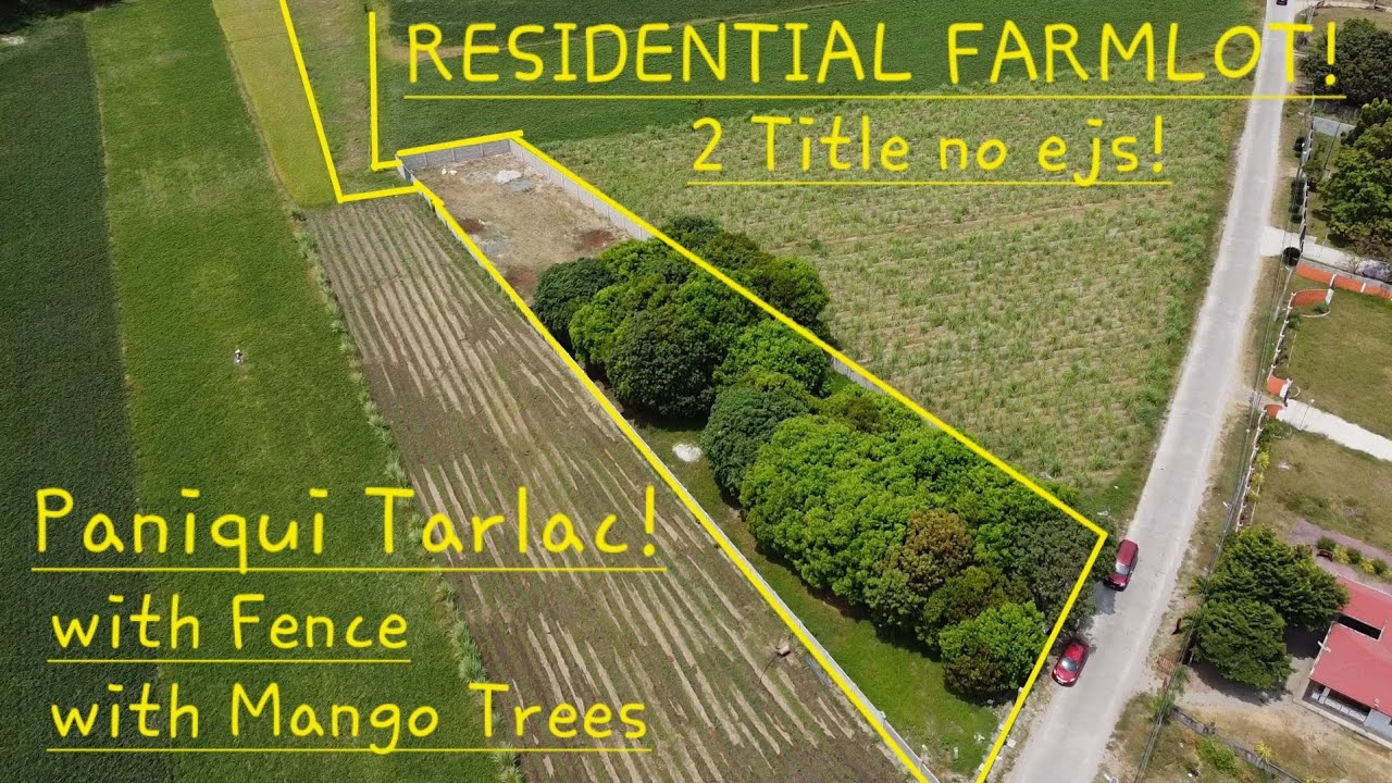 #vlog #706 Magandang Residential may Farmlot pa at Mango Trees..dito sa Paniqui Tarlac!5,700 sqm