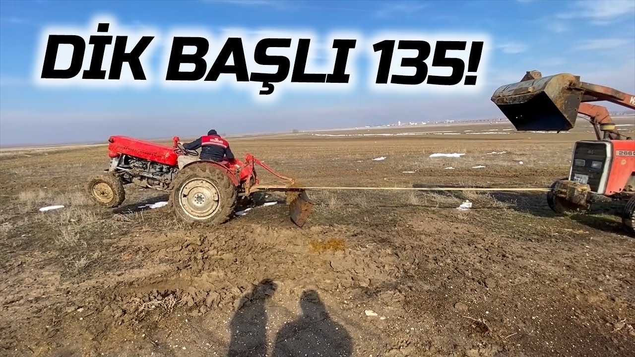 MF 135'İN İÇİNDEN CANAVAR ÇIKTI! ÇAMURDA KALAN KALANA. ÇAMURDA ZORLU GÜBRE TEMİZLİĞİ.