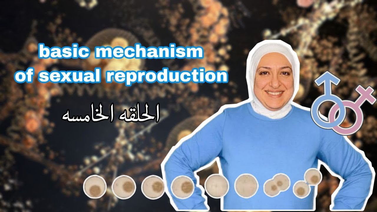 Episode 5 of Basic mechanism of sexual reproduction: Folliculogenesis