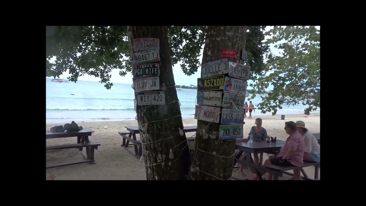DONNOVAN Best Jamaican Singer Live at Office of Nature Bar/Restaurant Negril Jamaica January 2025