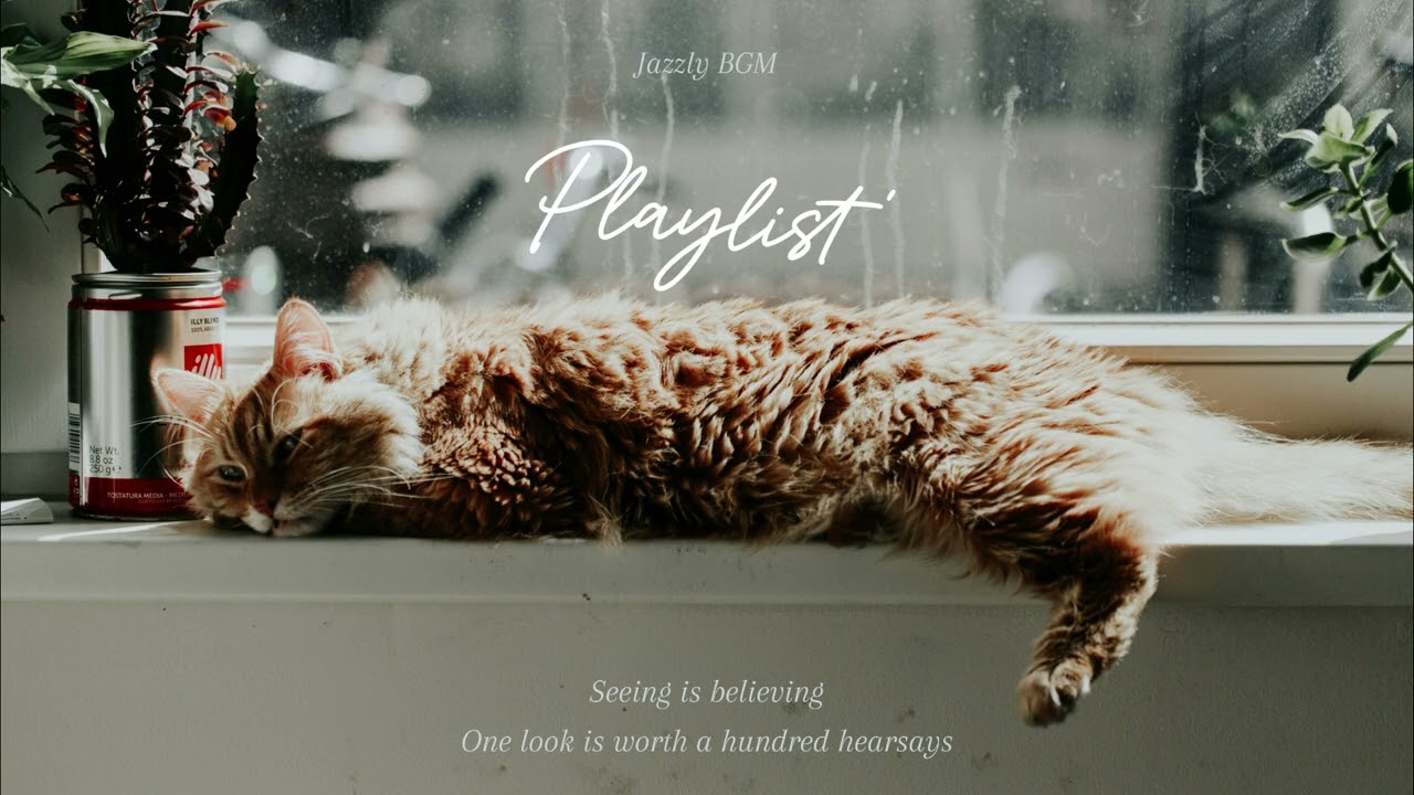 [ Playlist ] 💖 햇빛의 온도를 기억하고, 바닥의 감촉을 저장하고. / Jazz BGM 💖🎧레스토랑 /카페 배경 음악 추천 재즈 💕work, cafe, BGM 🥰🎧 /47