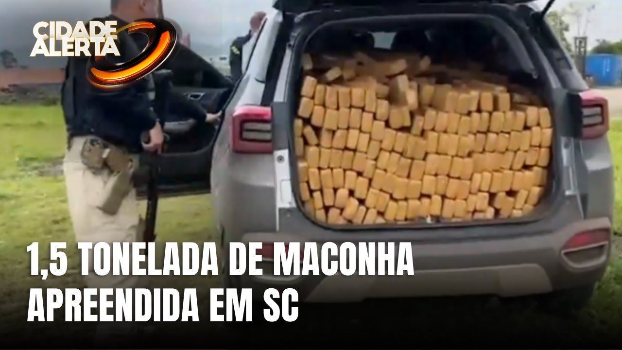 Polícia apreende 1,5 tonelada de maconha em Santa Catarina