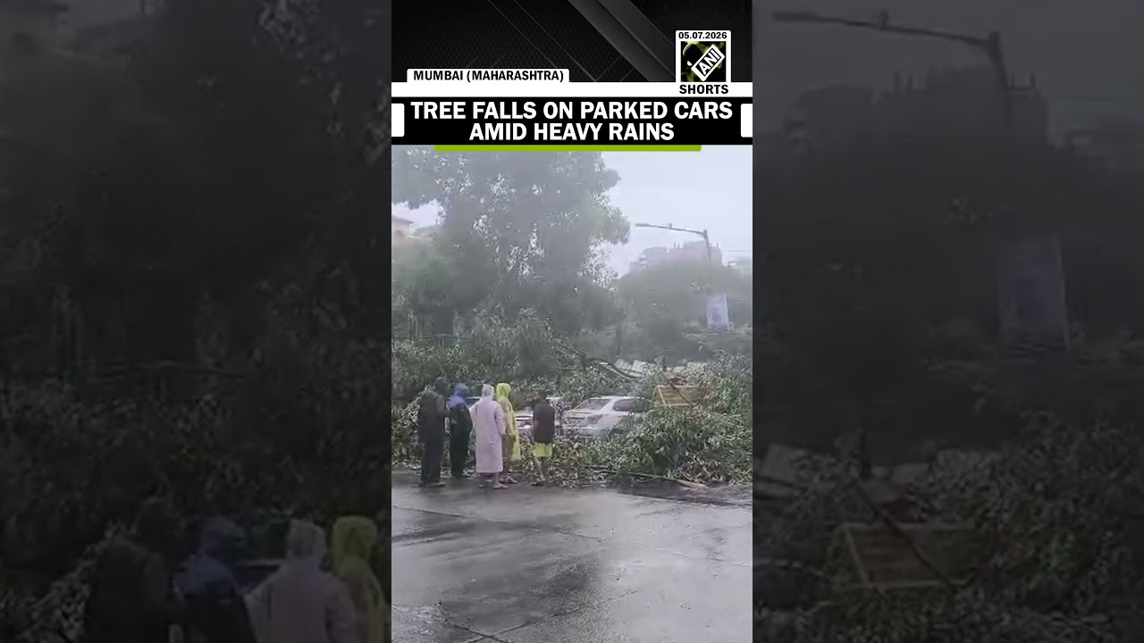 Tree falls on three parked cars in Mumbai's Bandra amid heavy rains
