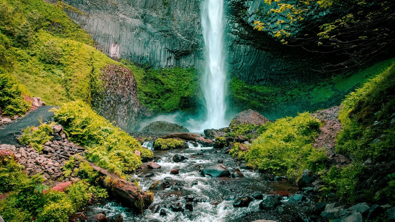 Musica Relaxante para de Concentrar e Relaxar Natureza Maravilhasa