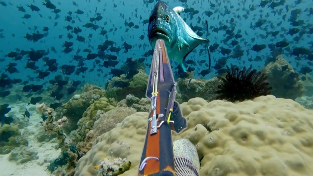 Trip memanah ikan sendirian di tengah laut 