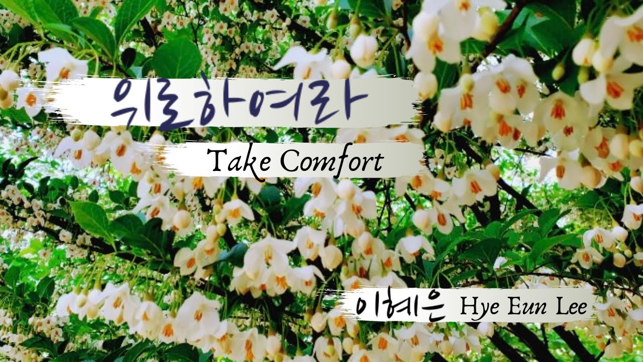 위로하여라 Take comfort | 이혜은 Hye Eun Lee