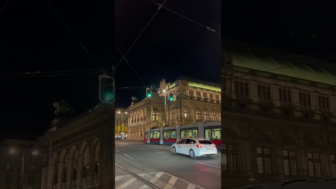 Vienna✨ #vienna #shortsfeed #youtubeshorts #viral #viralvideo #youtube
