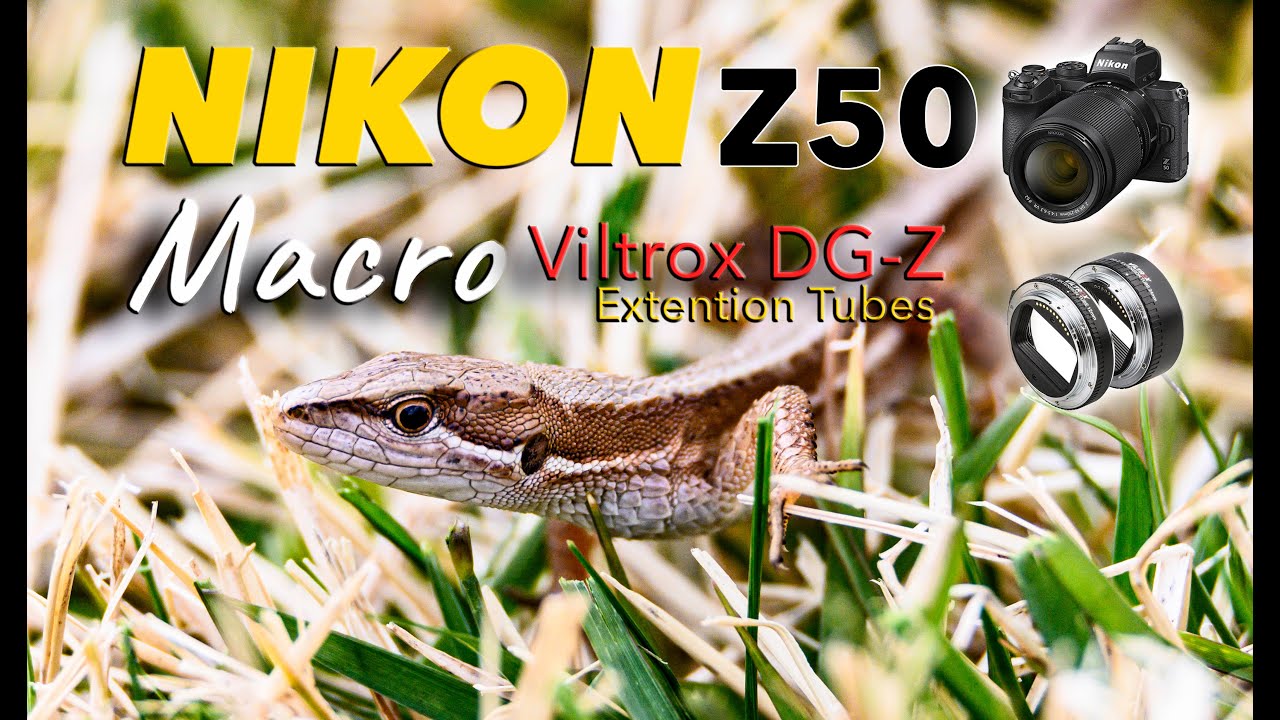 Nikon Z50 +Viltrox DG Z Extension tubes Social Distancing Macro Photography