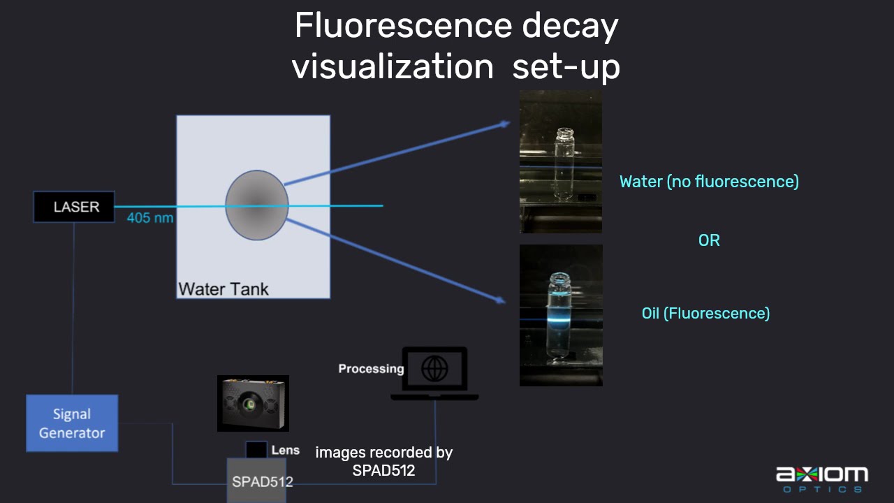 Visualizing and measuring fluorescence decays  using the SPAD512S camera in gated imaging mode