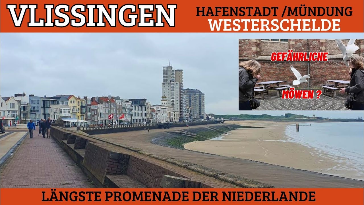 Zeeland Vlissingen Urlaub 2024 mit Möwenattacke , Glamping Vrouwenpolder,Westerschelde,Hai angeln