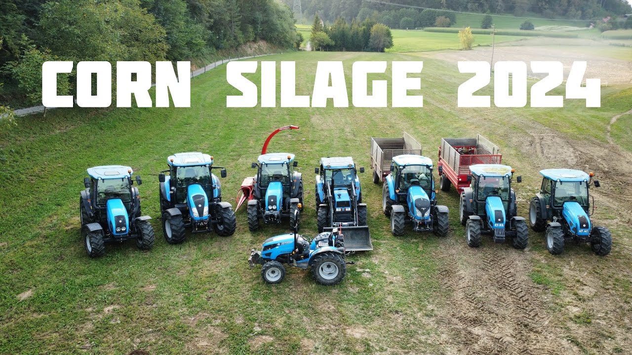 Corn/mais silage 2024 |8x Landini|🌽
