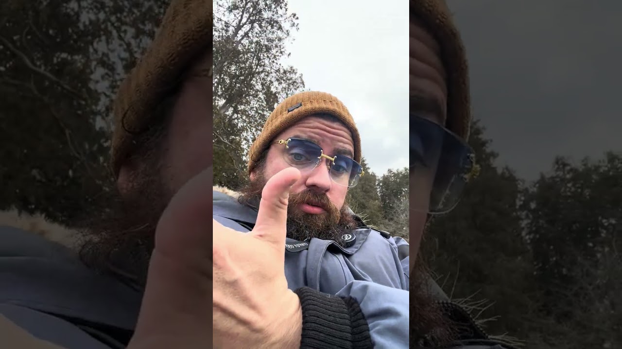 Still working on my mental health: Walk and talk 4