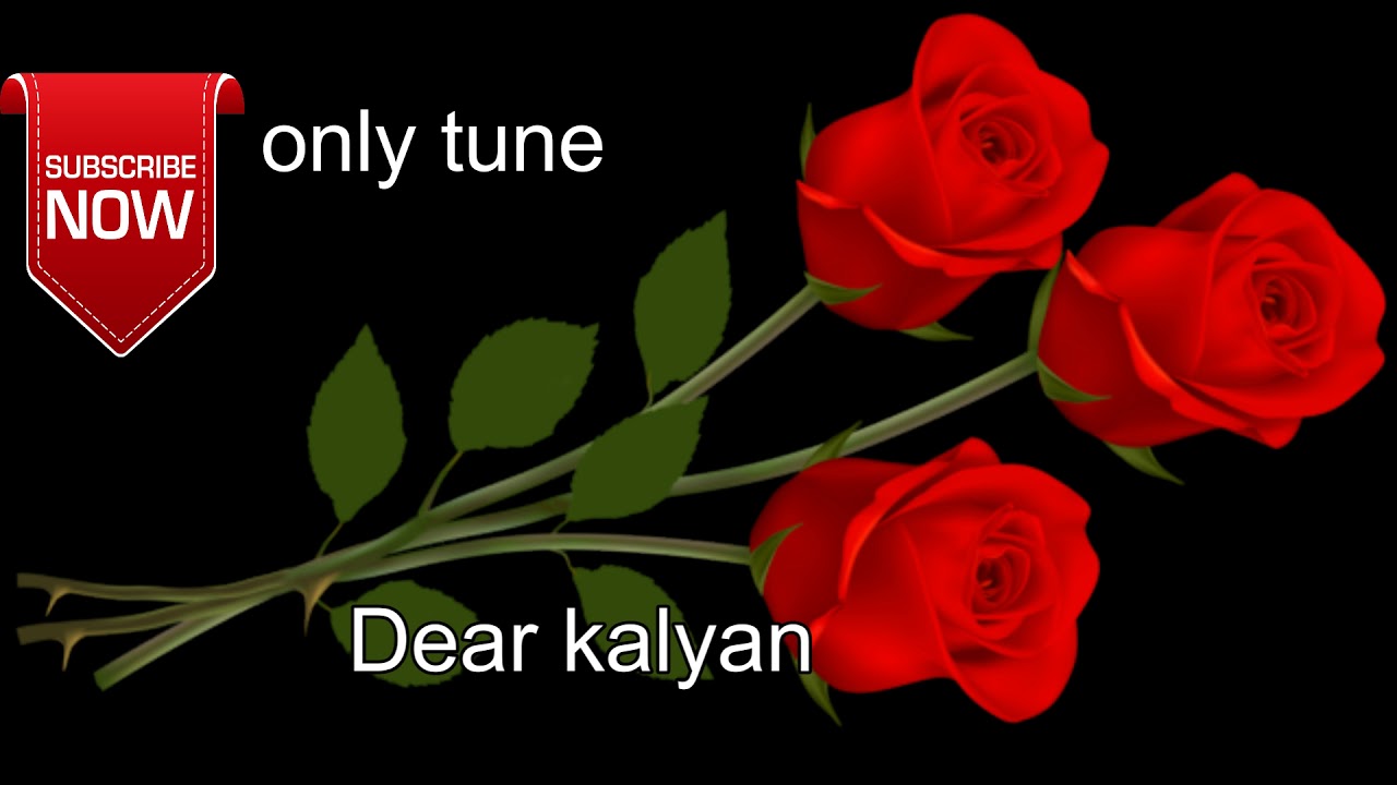 Dear Kalyan TUNE ONLY... @MrBeast