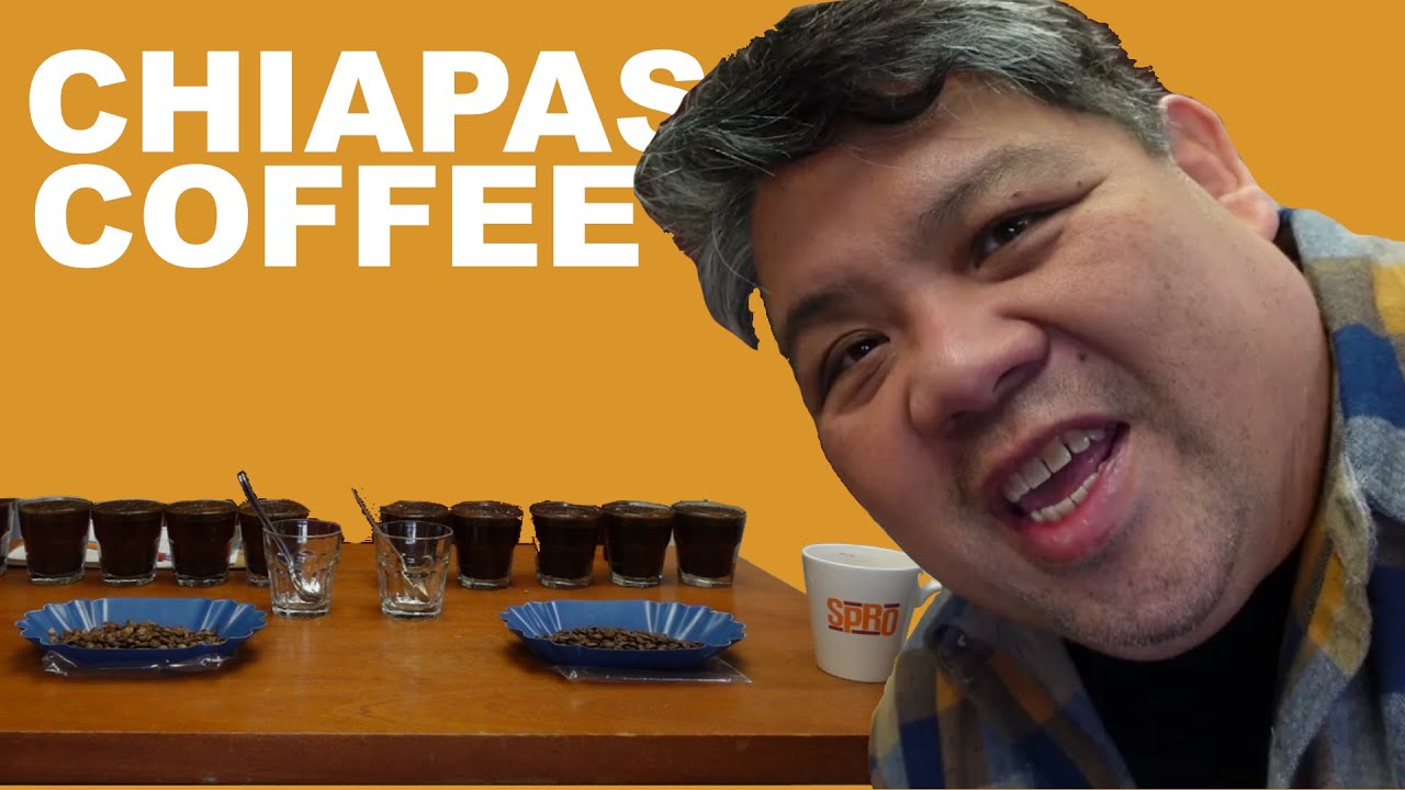 Best Coffee from Chiapas, Mexico Review, Part 2 - Green Grading Coffee Evaluation