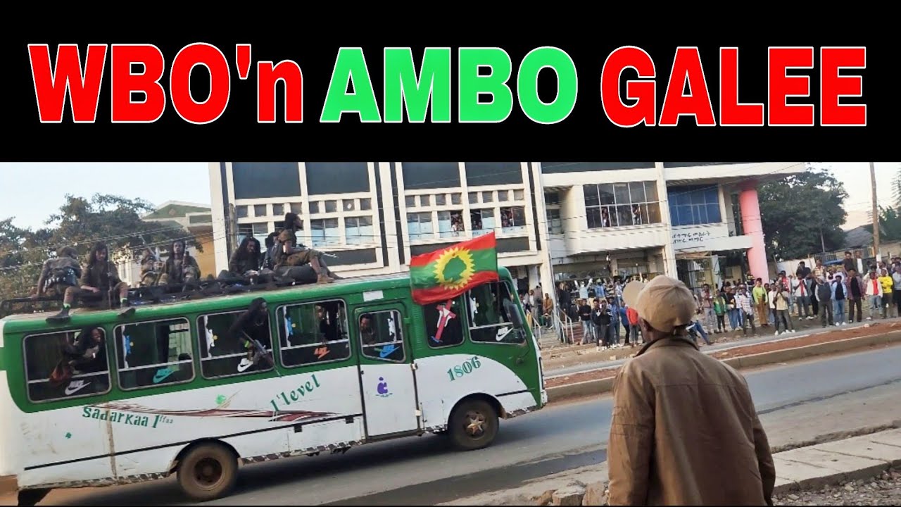 Waraannii WBO Humnaa Ol Ambo Galee!