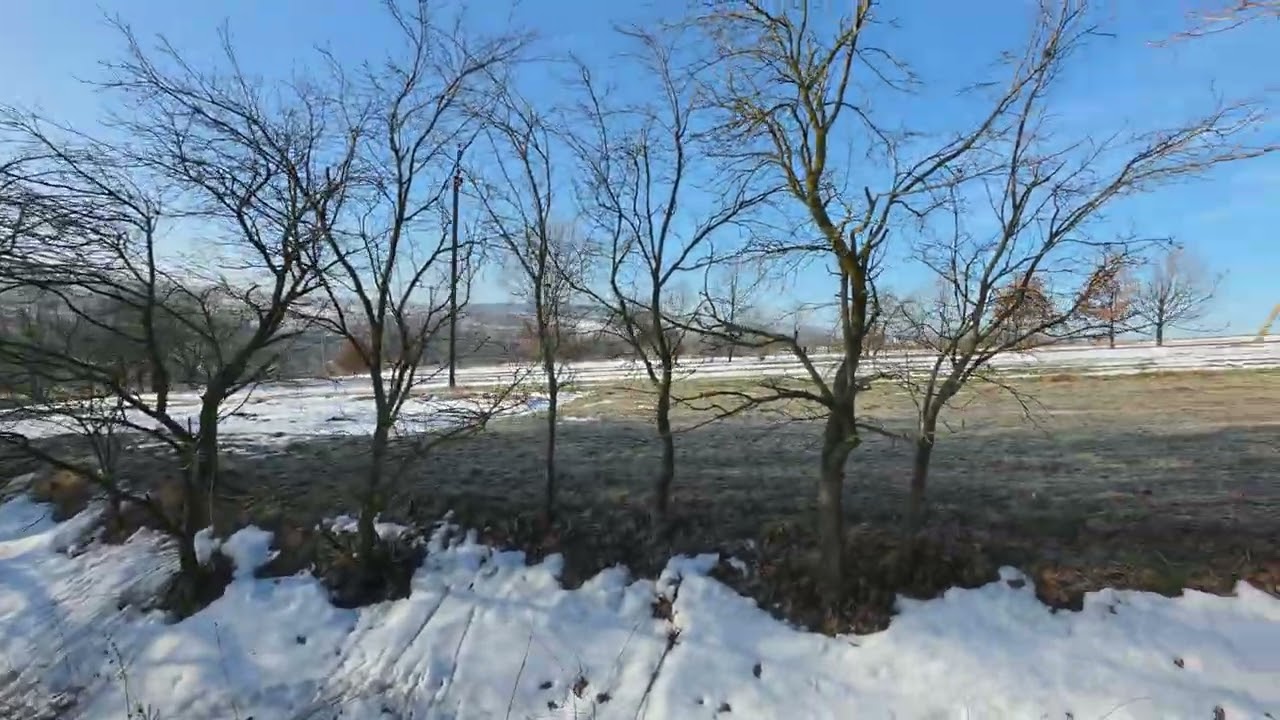 Морозний ранок ❄️ Останній день зими на Прикарпатті ❤️