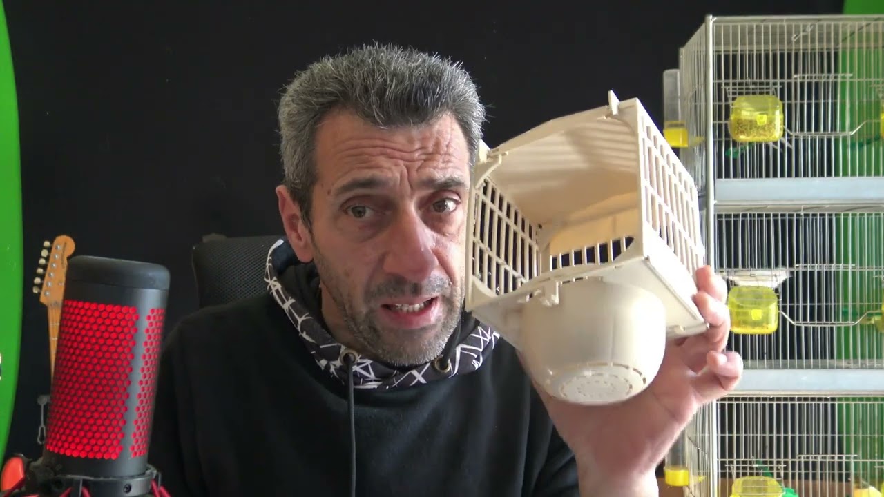 ΕΞΩΤΕΡΙΚΕΣ ΦΩΛΙΕΣ & ΓΙΑΤΙ ΤΙΣ ΠΡΟΤΙΜΩ