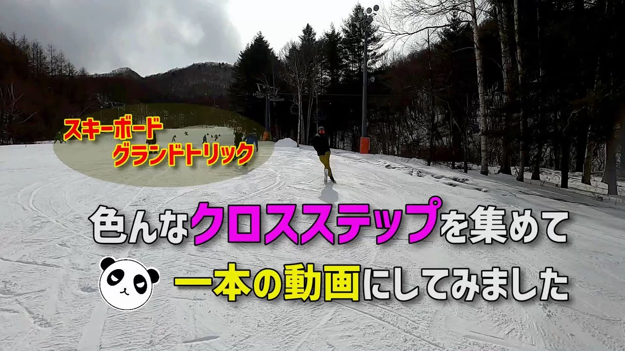 色んなクロスステップを集めて一本の動画にしてみました【ファンスキー・スキーボード】