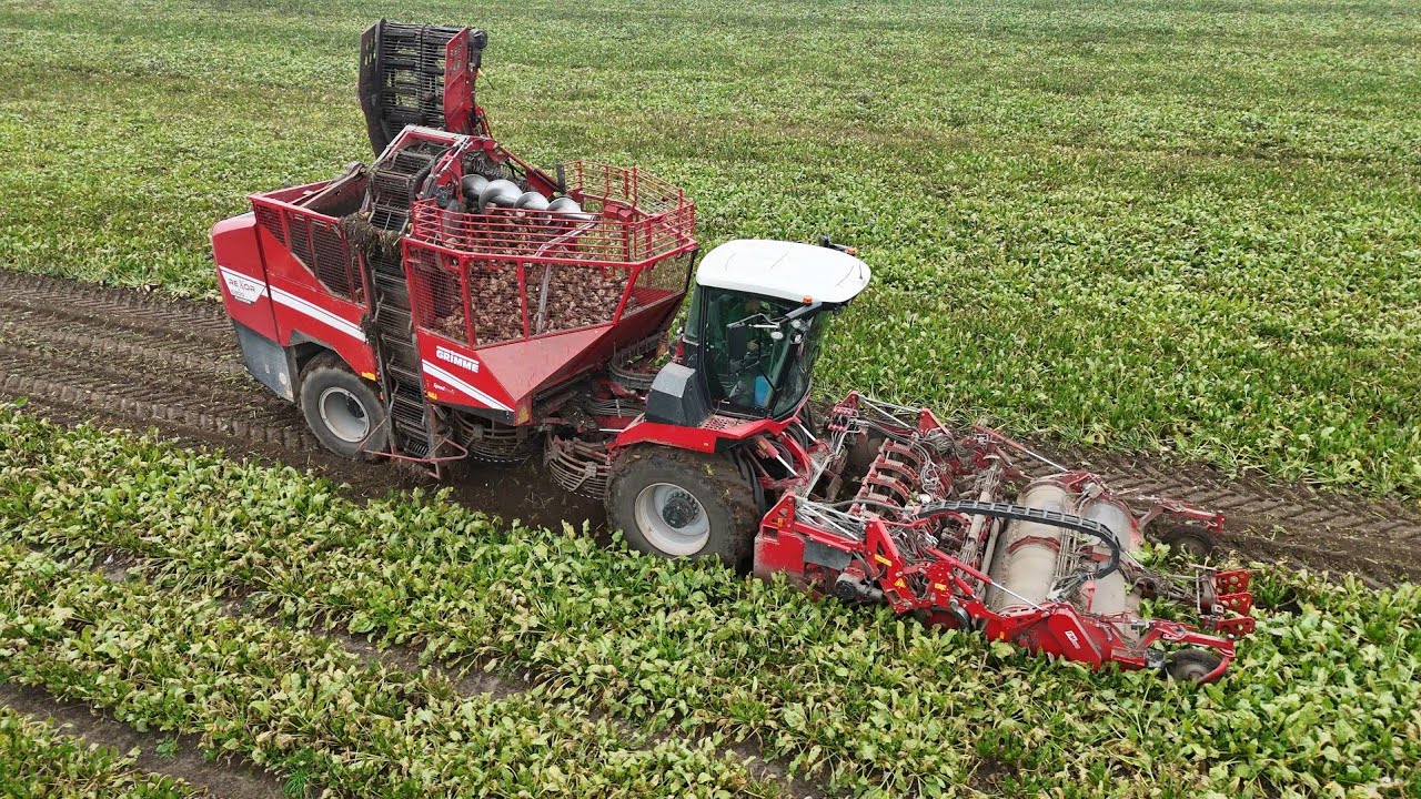 GRIMME REXOR 6200 PLATINUM am Rüben roden / FENDT 936 mit HAWE RUW 4000 / DEHR AGRARSERVICE / 4K