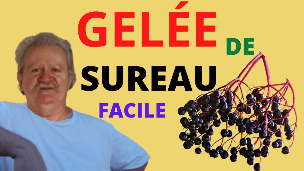 GEL&Eacute;E DE SUREAU