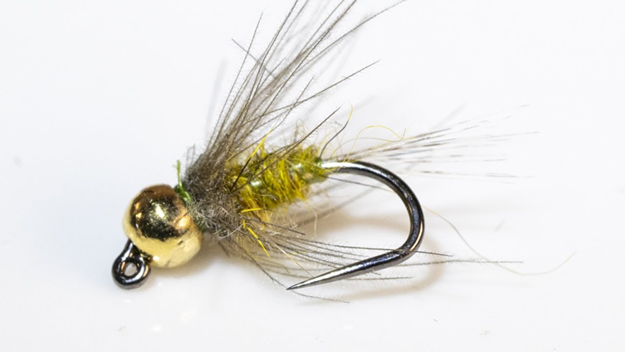 CDC Olive - CDC Green