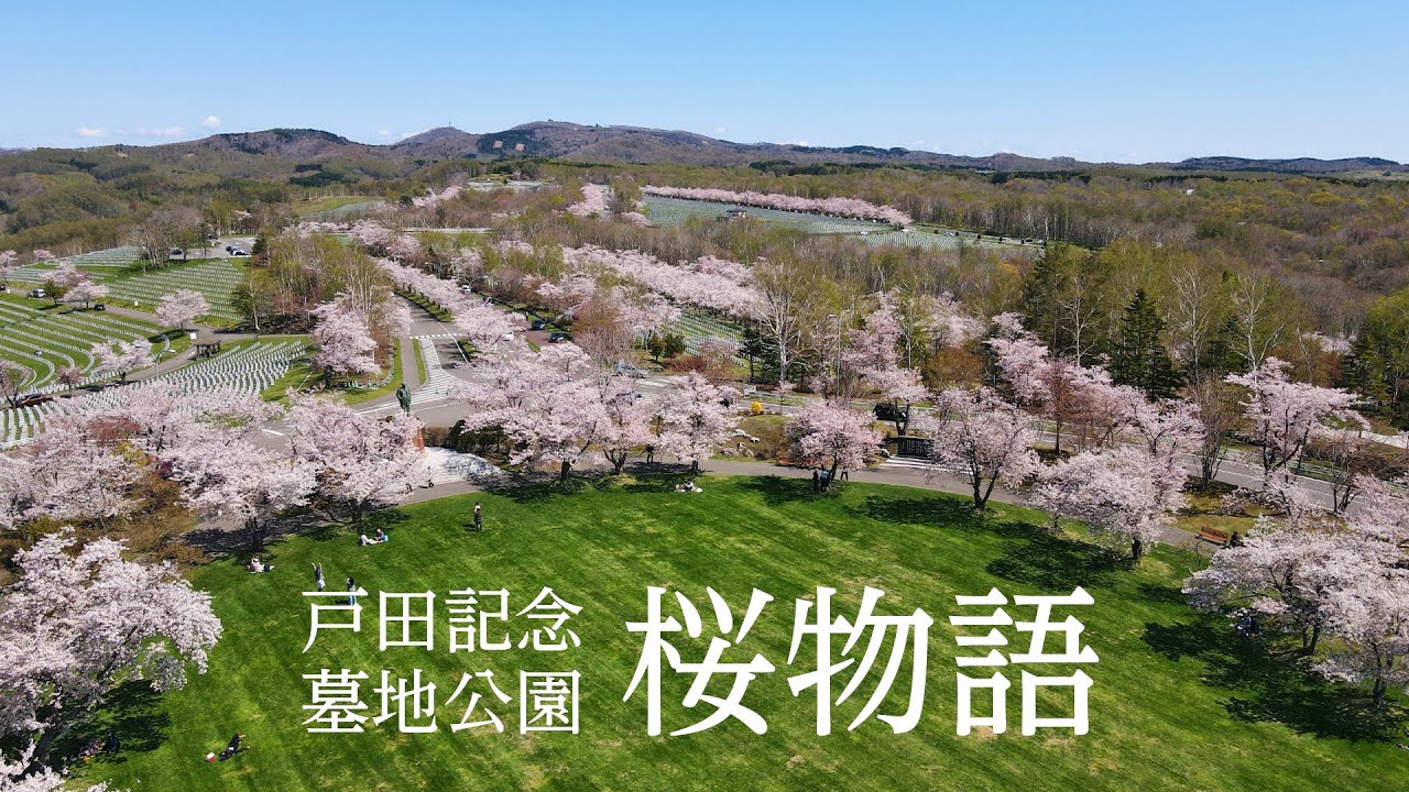 【5/12付　北海道版】桜物語