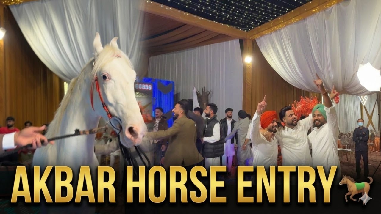 AKBAR Horse Entry 🐎 | Jago DJ Night Full Masti 😍