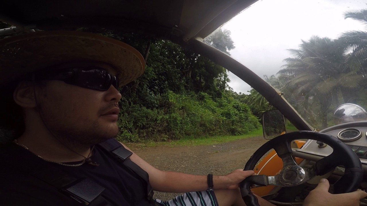 Raro buggy