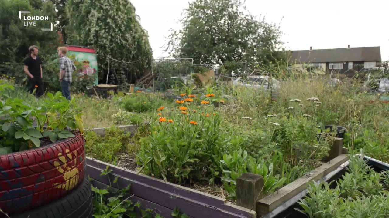 Living in a London eco commune