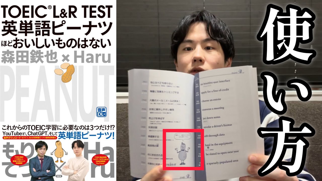 TOEIC版英単語ピーナツの使い方と制作秘話