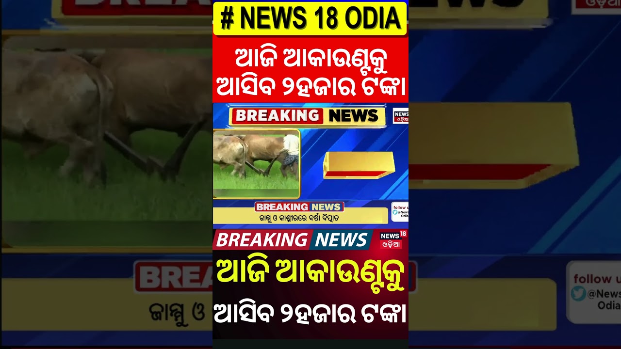 ଆଜି ମିଳିବ ଟଙ୍କା | CM Kisan Yojana update | CM Mohan Majhi | Farmer Scheme | Odia News