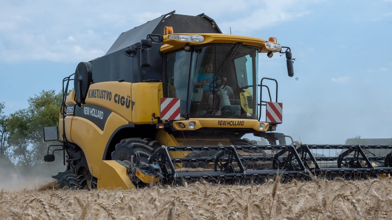 🌾[New holland CX 760 & Fendt 820] Žniwa pszenica| Wheaty harvest| Weizenernte| AGRO Zrim🌾