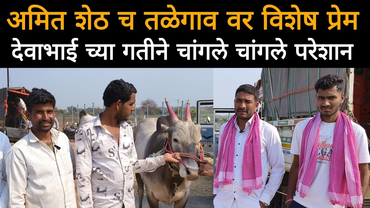 अमित शेठ भाडळे यांचं तळेगाव वर विशेष प्रेम? | देवाभाई च्या वेगाने केली कमाल 
