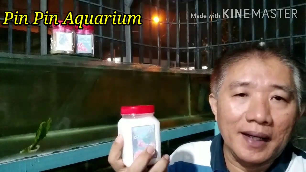Cara Tanpa Ganti Air Aquarium