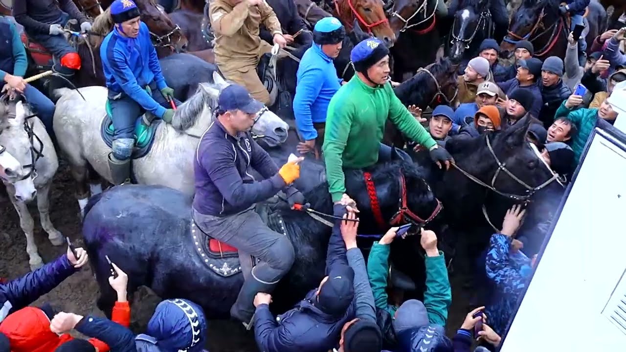 Сайфи половон Тумор Билан Кукон Мухамали акани оти#kopkari 