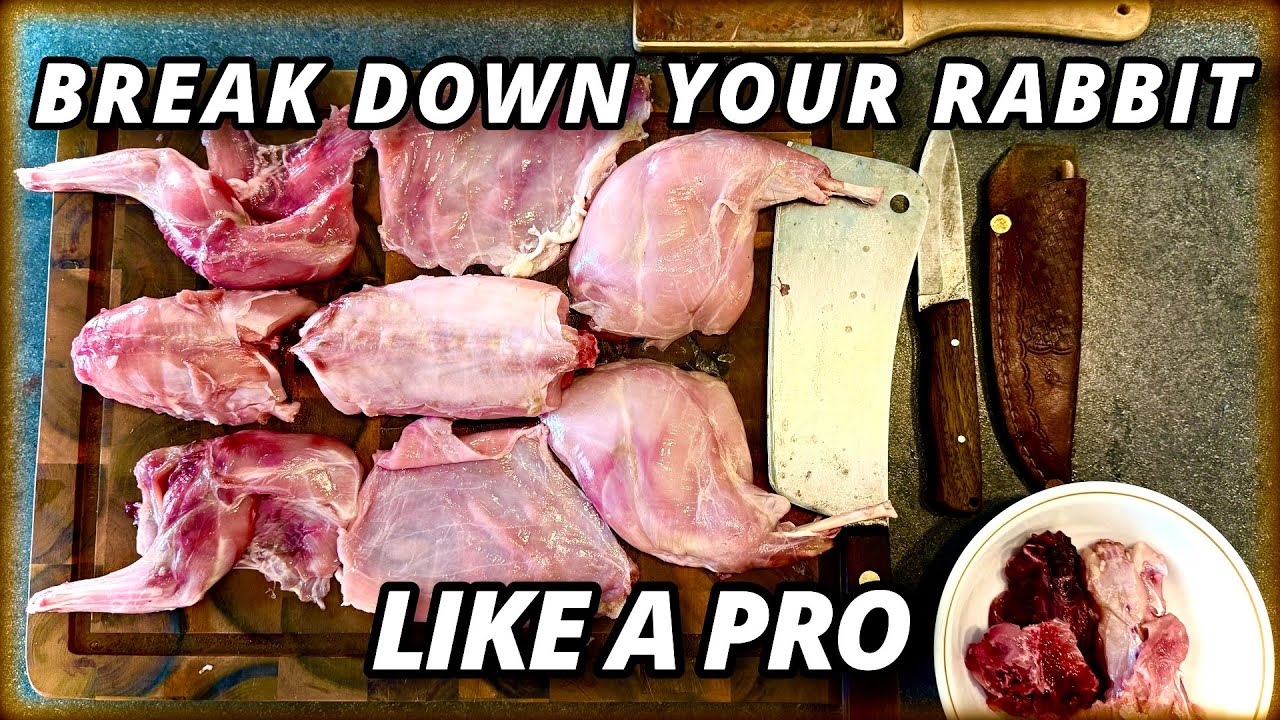 Simple rabbit meat breakdown+ BONE BROTH RECIPE