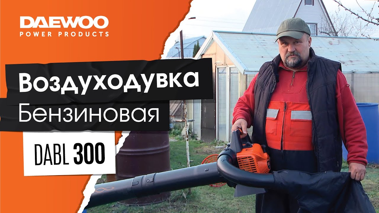 Мощность и автономность — Воздуходувка-пылесос DAEWOO DABL 300