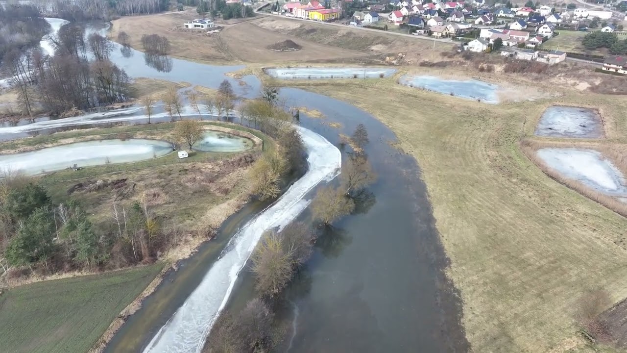 Rozlewiska Drwęcy w Elgiszewie, 27.02.2026