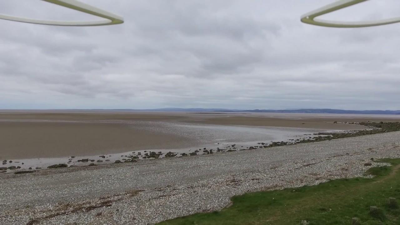 DJI hestbank