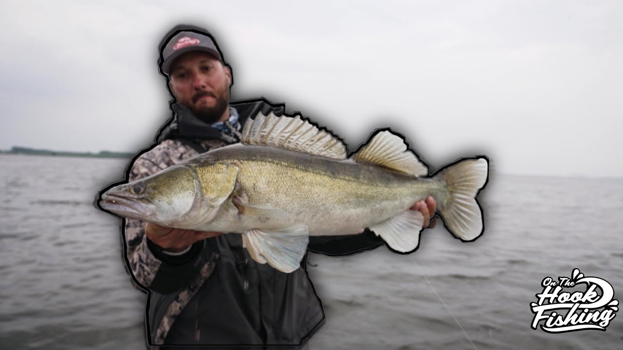 Zander Fishing - Lure fishing for Zander [English Subtitles]